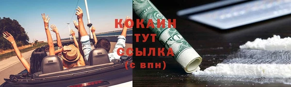 apvp Бердск