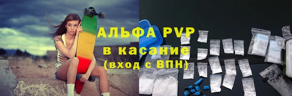 шишки Медвежьегорск