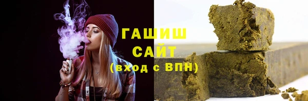 шишки Медвежьегорск