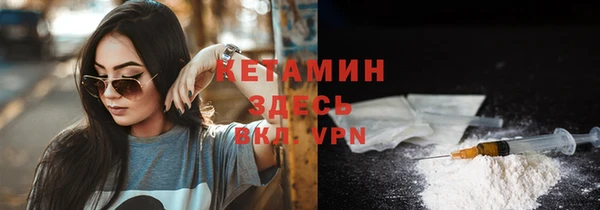 шишки Медвежьегорск