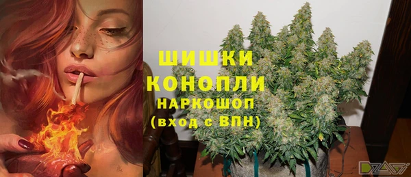 СК Ачинск