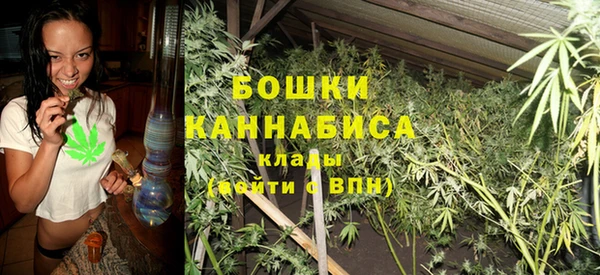 шишки Медвежьегорск