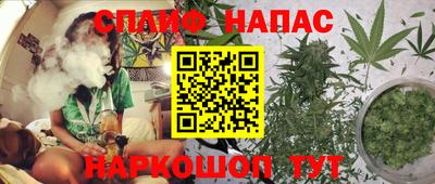 бошки Жуковский