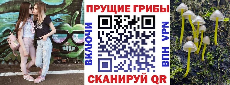 Псилоцибиновые грибы Magic Shrooms Лабытнанги