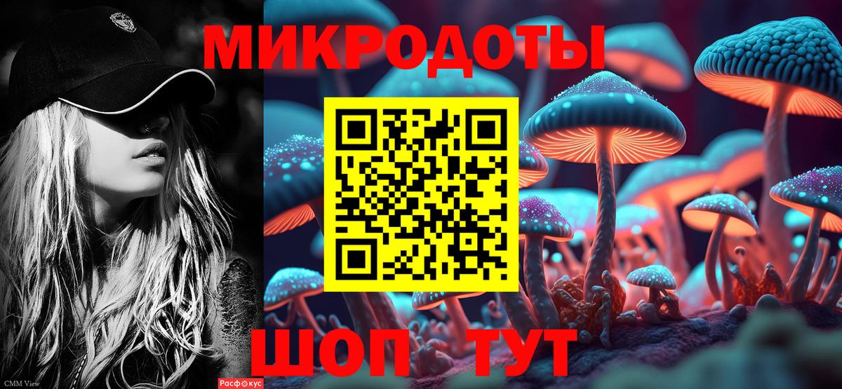 Галлюциногенные грибы Psilocybine cubensis Лабытнанги